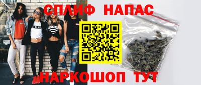 стаф Новокубанск