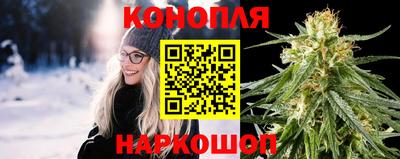 Альфа ПВП Новодвинск